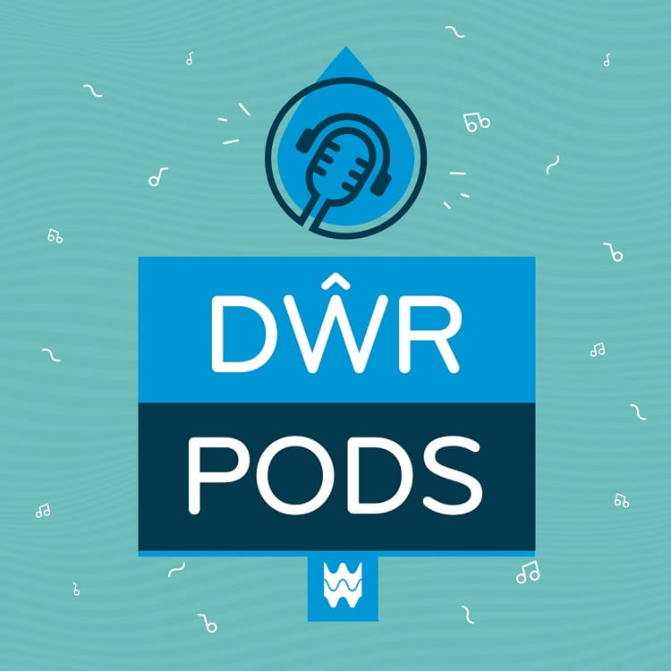 Dwr pods article image