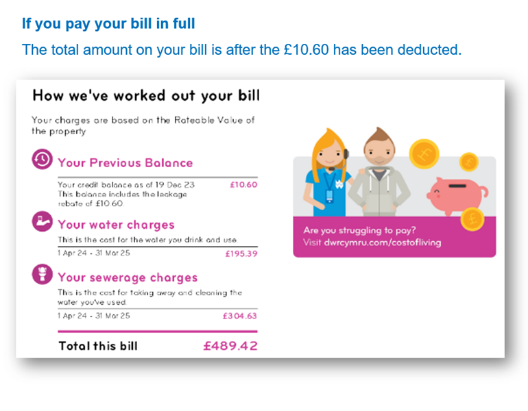 Your annual bill 2024 D r Cymru Welsh Water
