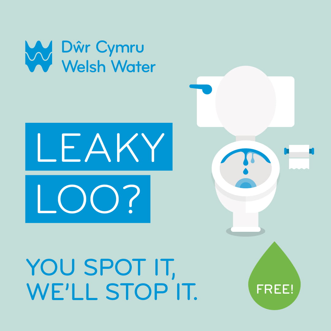 Leaky Loo image - You spot it, we'll stop it