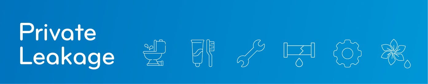 Private leakage banner